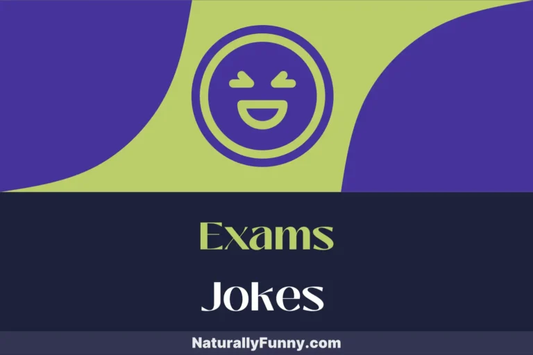 620 Exams Jokes That’ll A+ Your Mood