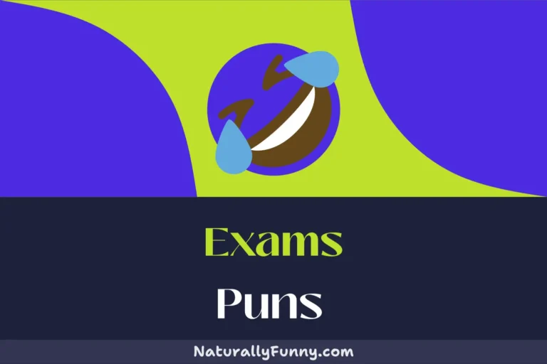 493 Exams Puns That Are Sure to Score High on Laughs