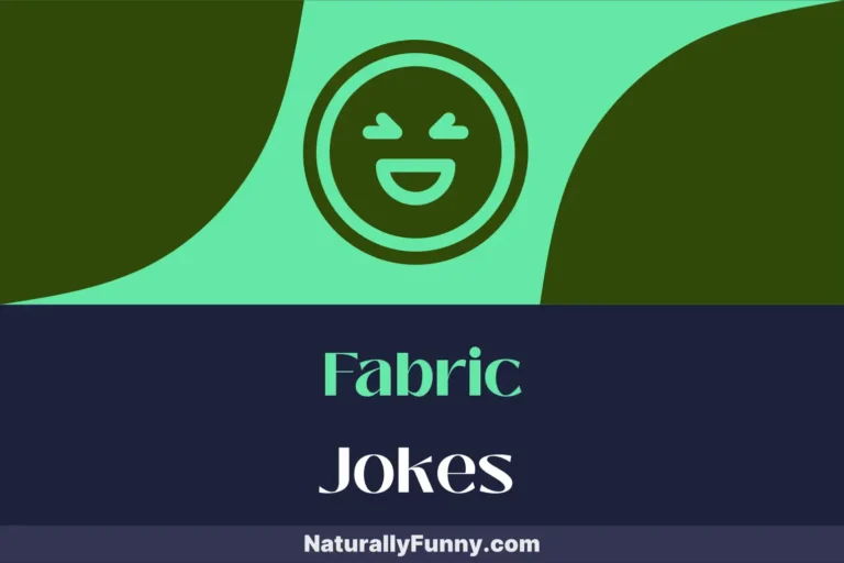649 Fabric Jokes to Embroider Your Day with Delight