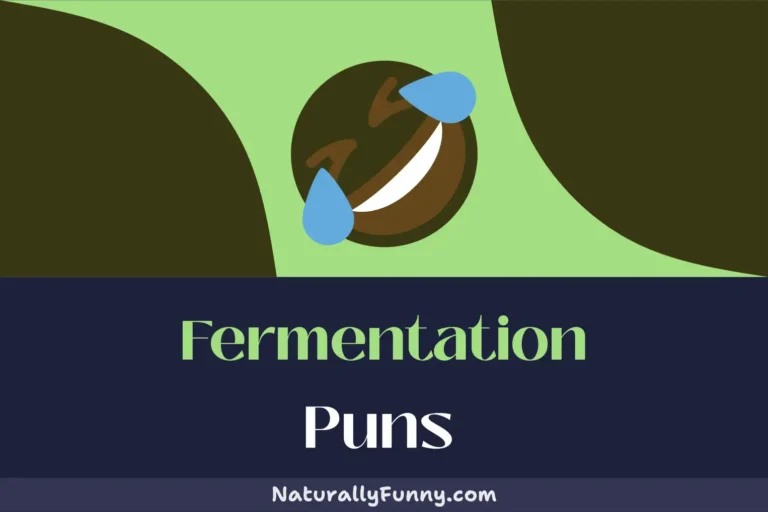 617 Fermentation Puns for Those Hoping for a Laugh