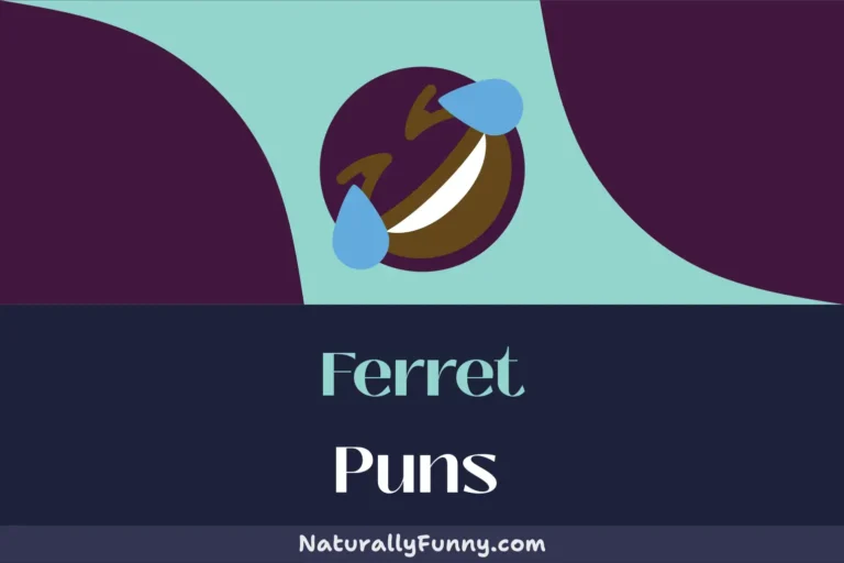 646 Ferret Puns That Will Make Your Day Furry Bright