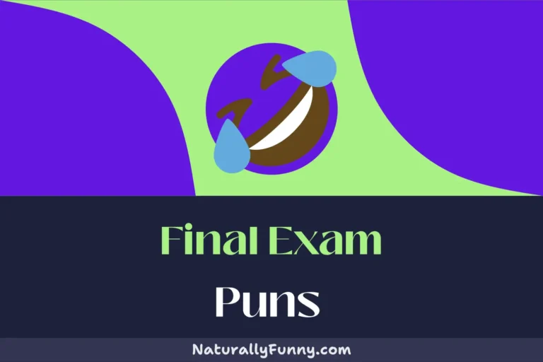 430 Final Exam Puns That Are Perfect for Pro-Crastinators