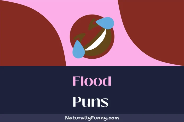 542 Flood Puns That Will Leave You Drenched in Laughter