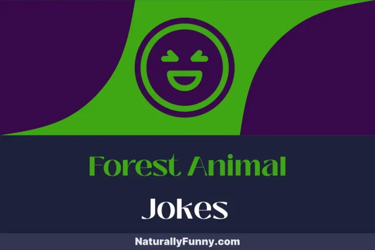 613 Forest Animal Jokes to Quack You Up