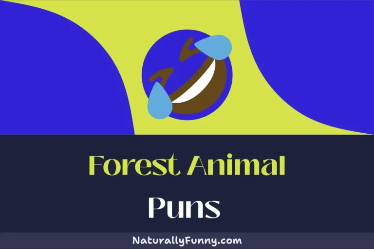 531 Forest Animal Puns That Are Un-bear-ably Funny
