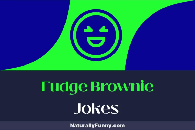 576 Fudge Brownie Jokes to Sweeten Up Your Funny Bone