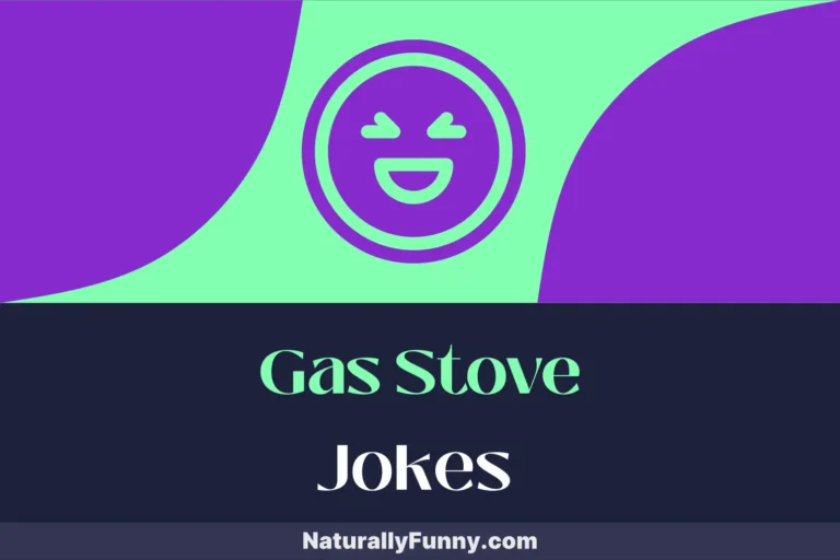 701 Gas Stove Jokes for Foodies with a Taste for Humor