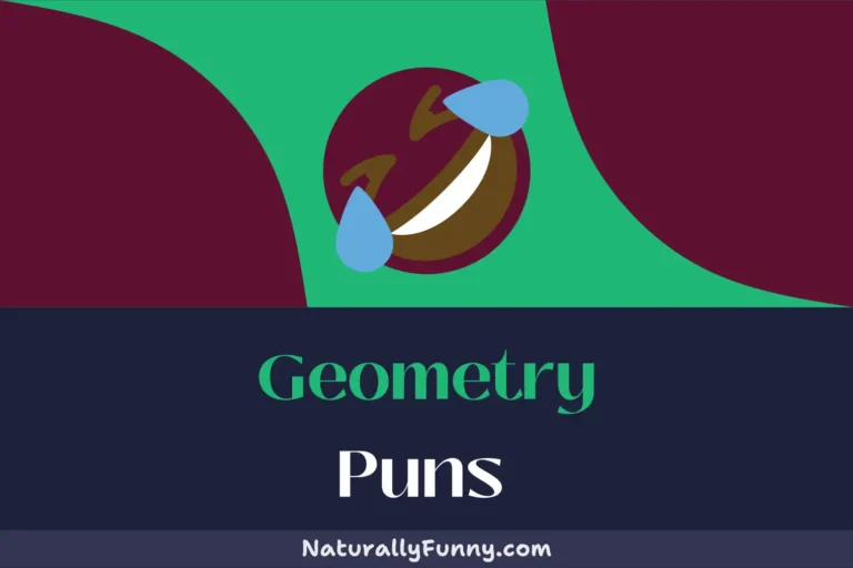 511 Geometry Puns That’ll Make You Go off on a Tangent