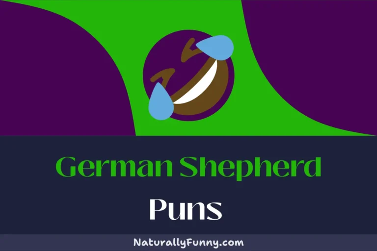 560 German Shepherd Puns for a Tail-waggingly Good Laugh