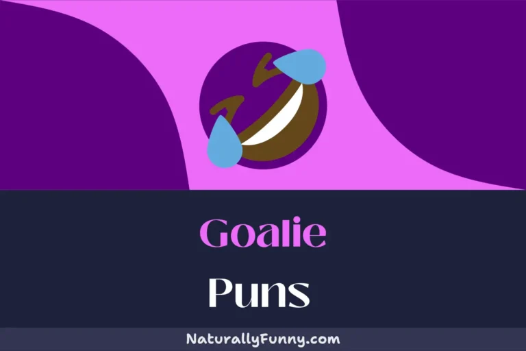 540 Goalie Puns for a Ball of a Time