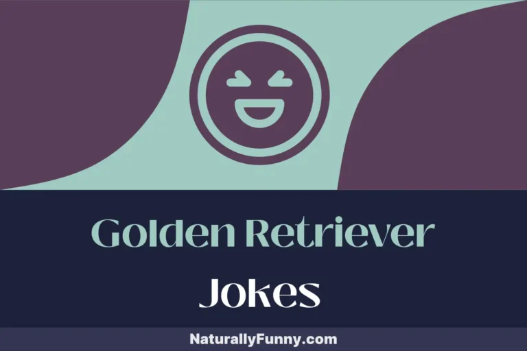 555 Golden Retriever Jokes That Fetch Loads of Laughter