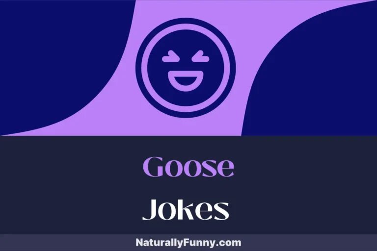 422 Goose Jokes to Break the Ice at Your Next Gathering