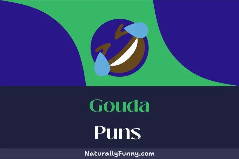 718 Gouda Puns for a Truly Grate Laugh
