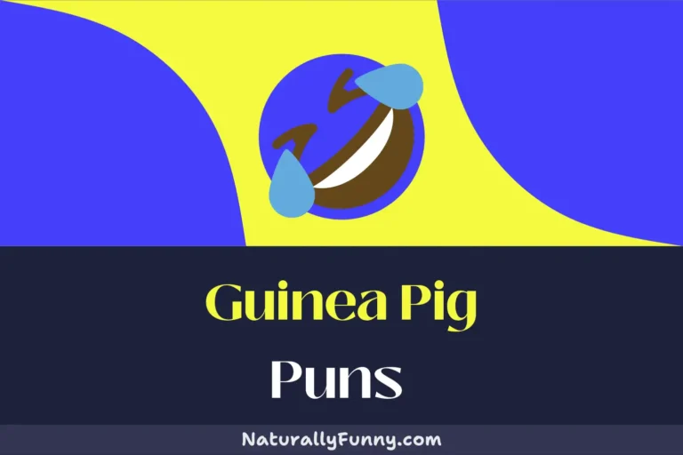 542 Guinea Pig Puns to Cavy-ate Your Laughter