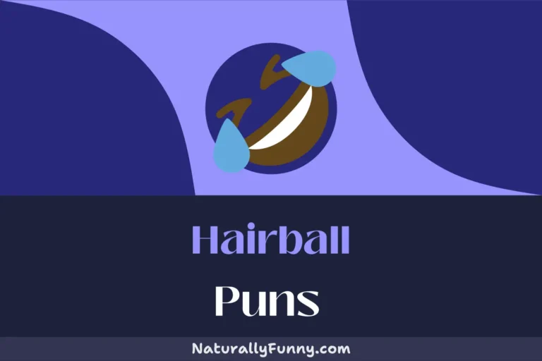 510 Hairball Puns for the Cat-tastic Comedian
