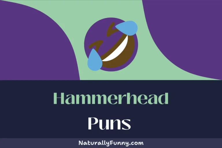 539 Hammerhead Puns to Hammer in the Hilarity