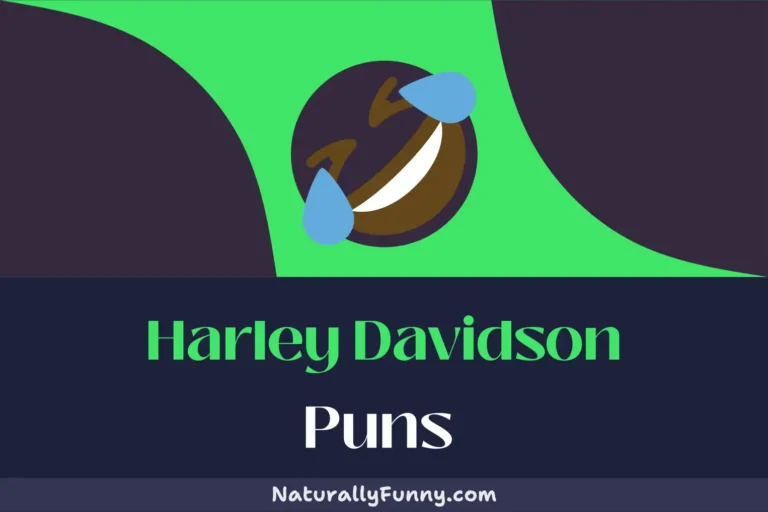 409 Harley Davidson Puns That Will Rev Up Your Humor