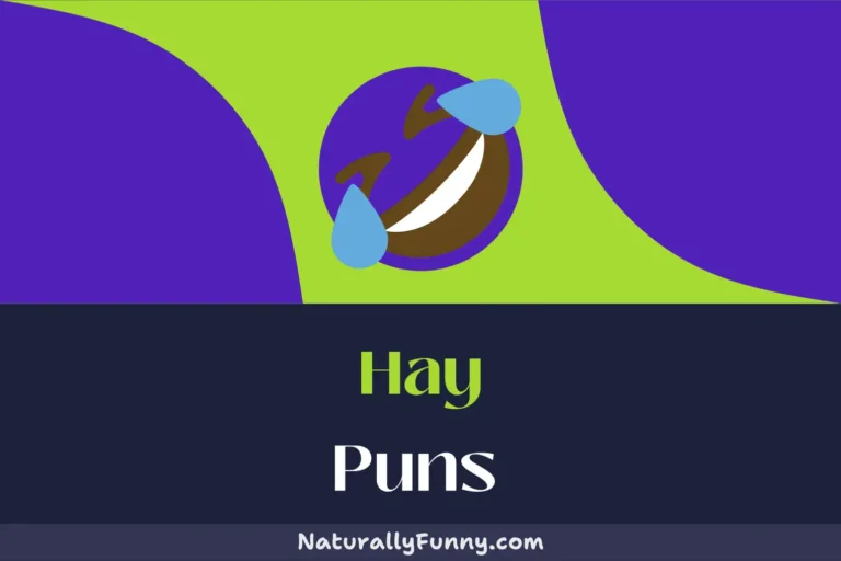 522 Hay Puns That Are a Stack of Fun