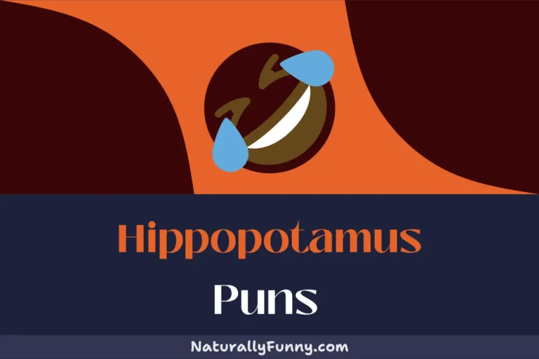 447 Hippopotamus Puns for a Hippo-mazing Pun Experience