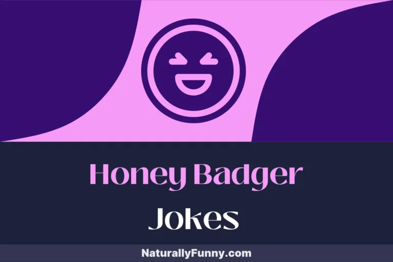 684 Honey Badger Jokes That Hit the Funny Bone Hard
