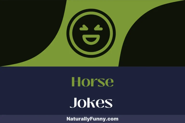 344 Horse Jokes That Saddle You with Giggles