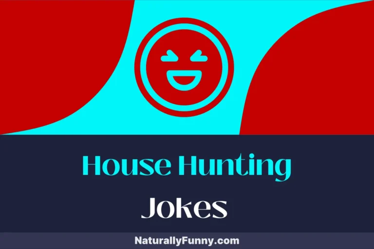 960 House Hunting Jokes to Insulate You from Dull Moments