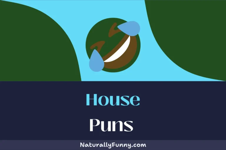 524 House Puns That Will Leave You Homely Amused