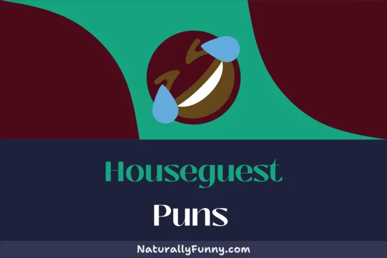 518 Houseguest Puns to “Check-In” the Fun