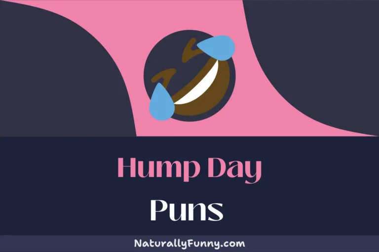 451 Hump Day Puns That Will Camel-flage Your Midweek Blues
