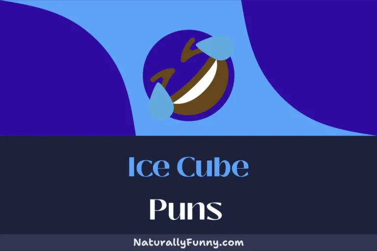 531 Ice Cube Puns for Your Next Cool Comedy Routine
