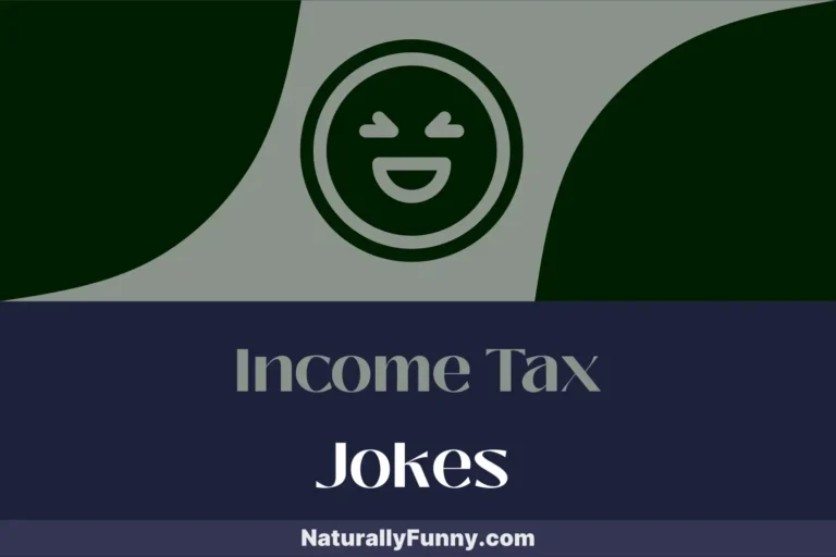 879 Income Tax Jokes for the Financially Frustrated