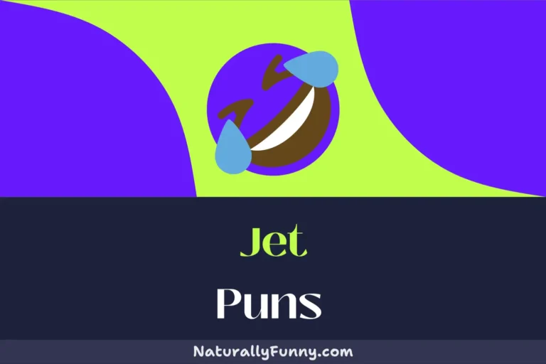 572 Jet Puns for a Mile High Sense of Humor