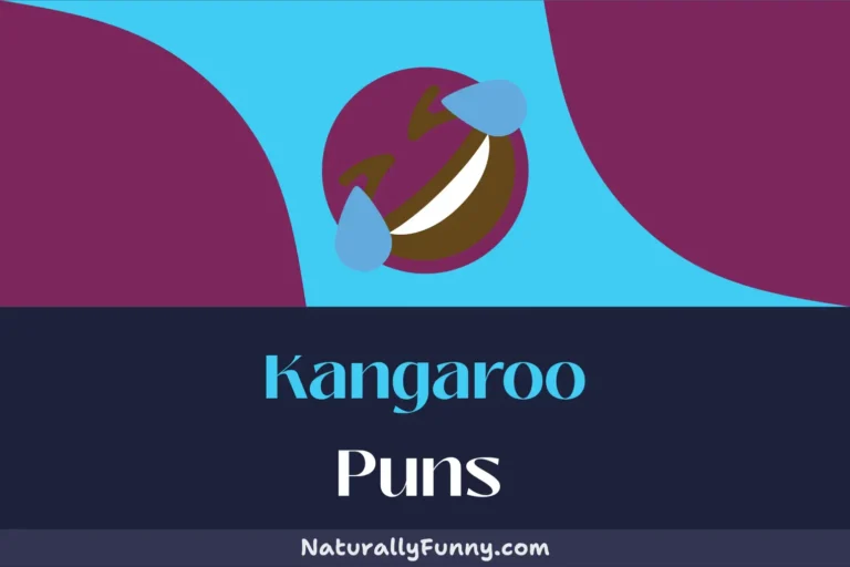 505 Kangaroo Puns That Will Keep You Hopping for More