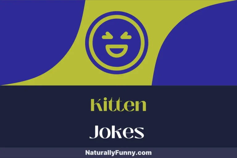 536 Kitten Jokes That Will Scratch Your Funny Bone