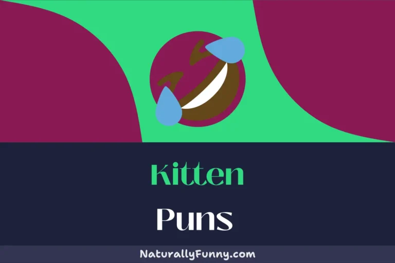 654 Kitten Puns for a Meow-velous Day