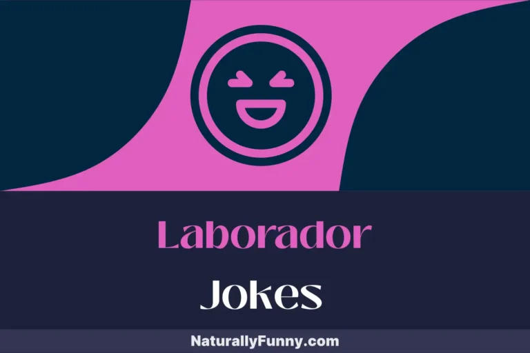703 Labrador Jokes That Bark Up the Right Tree