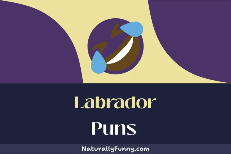 738 Labrador Puns That Will Fetch You Laughs