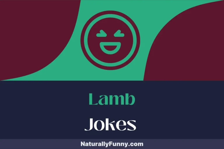 579 Lamb Jokes That Ewe Just Can’t Resist