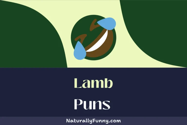 576 Lamb Puns That Are Perfect for Ewe-nbelievable Comedy