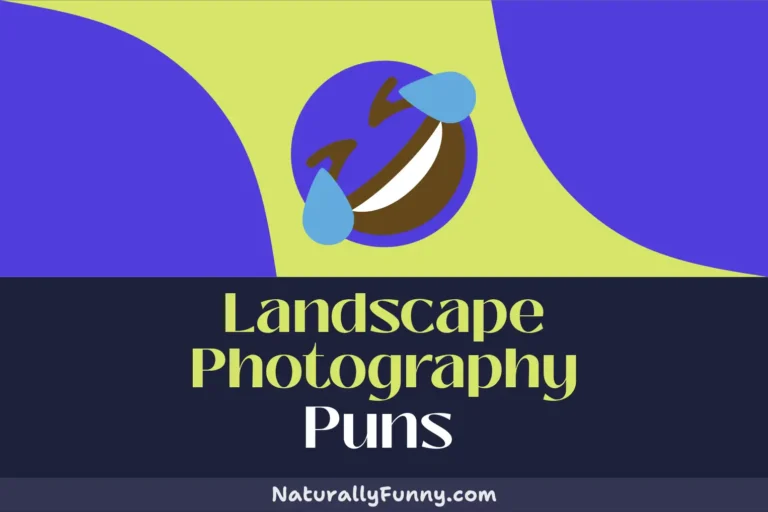 694 Landscape Photography Puns to Zoom into Fun