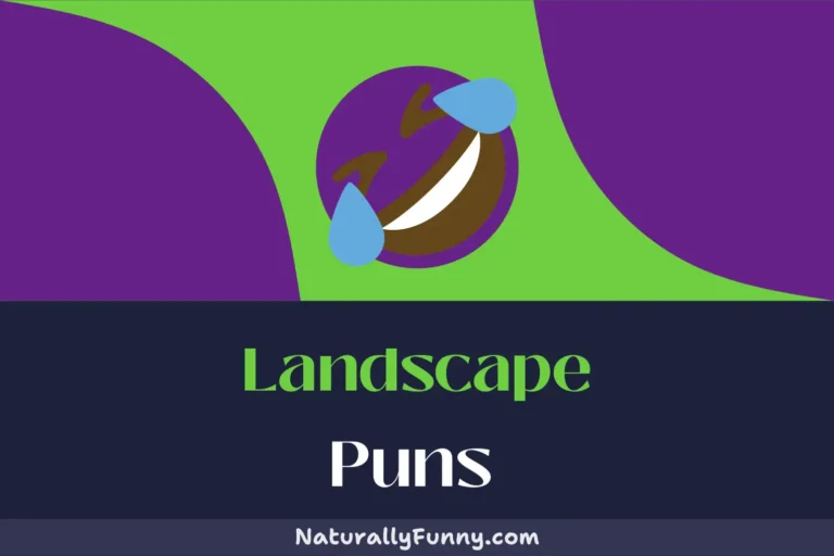 696 Landscape Puns for a Ground-Breaking Humor Experience
