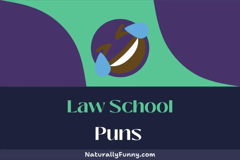 511 Law School Puns That Will Have You in Legal Hysterics