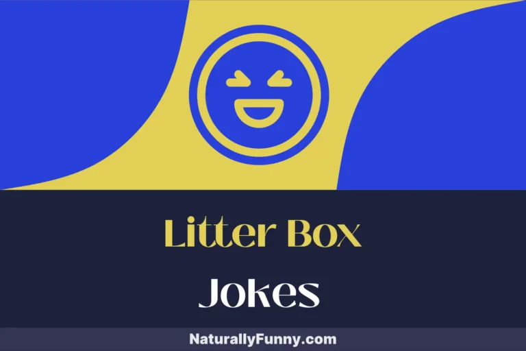 705 Litter Box Jokes That Will Purr-suade You to Laugh