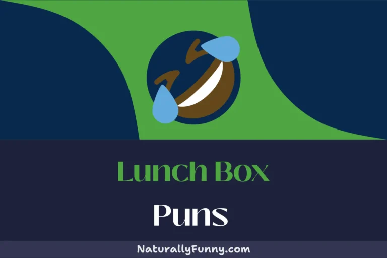 633 Lunch Box Puns to Savor and Share