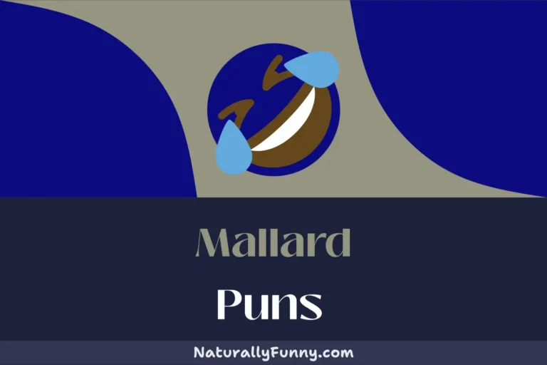 542 Mallard Puns That Are Absurdly A-duck-table