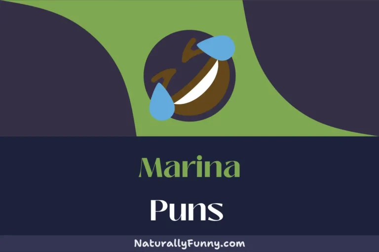 595 Marina Puns to Tide You Over With Giggles