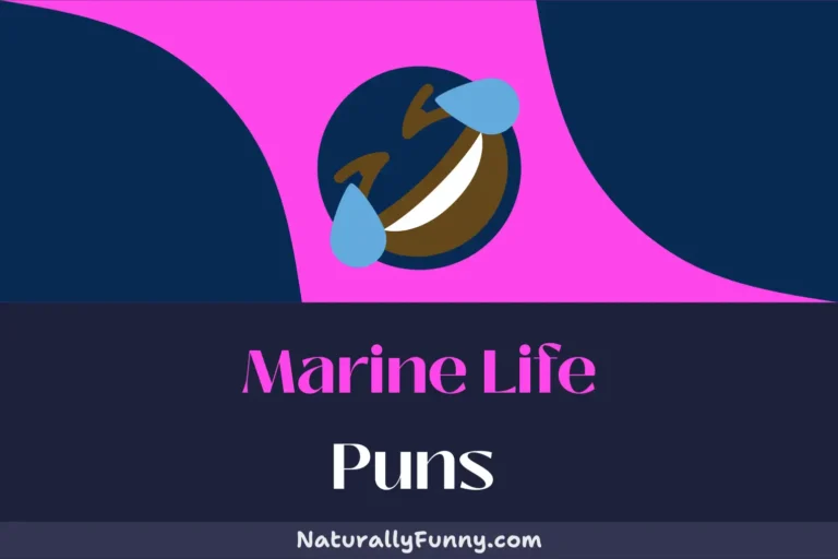 556 Marine Life Puns for a Whale of a Time