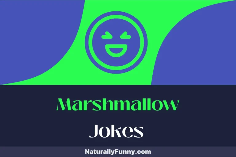 464 Marshmallow Jokes for S’more Laughs