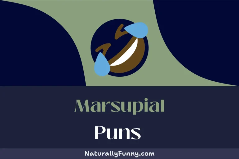 509 Marsupial Puns That Are Possum-ibly the Funniest Ever