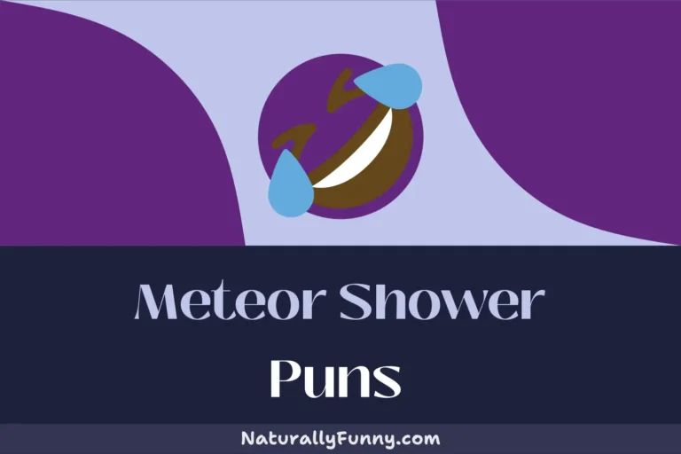 558 Meteor Shower Puns for a Comet-ic Relief